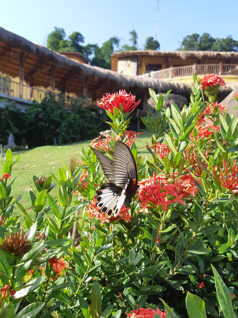 Maichau Hideaway khu nghỉ dưỡng lý tưởng gần Hà Nội