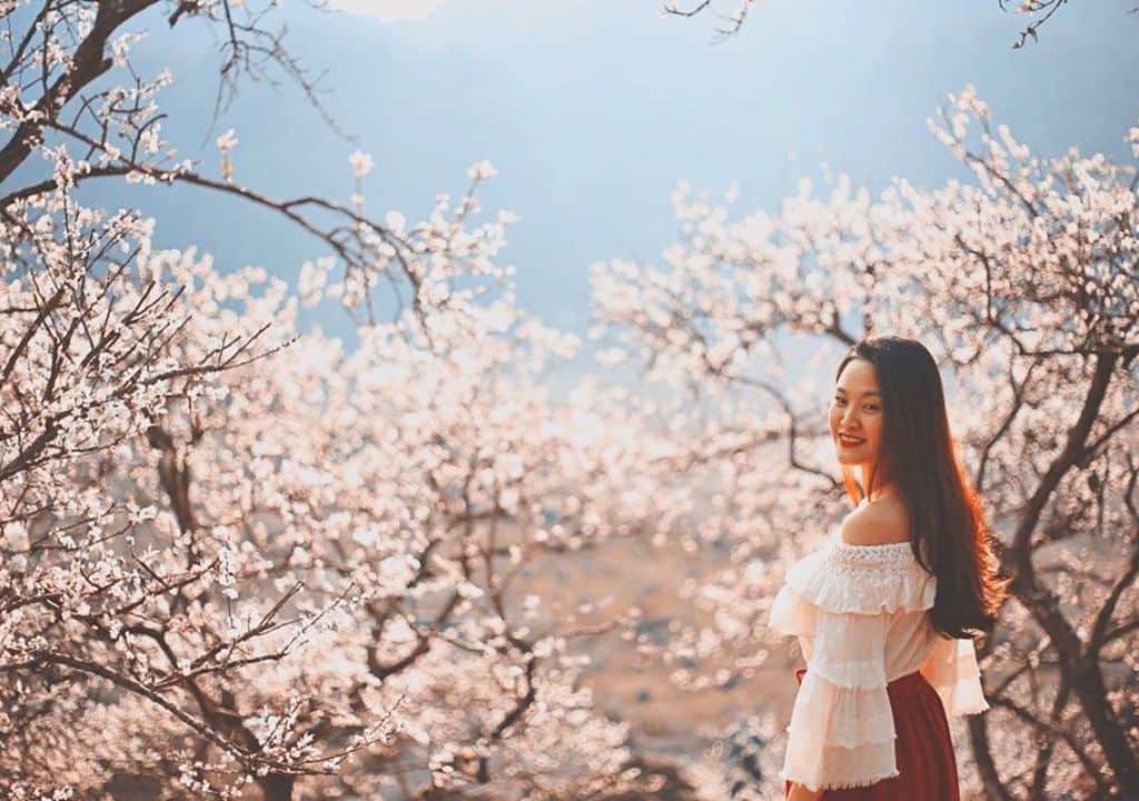 Du lịch Tây Bắc tháng 1: Sắc hoa bừng nở, hành trình khó quên