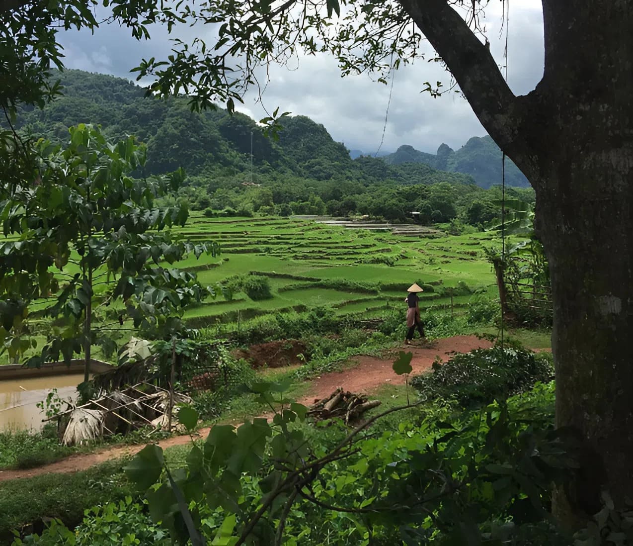 Khám phá Bao La Mai Châu Hòa Bình: Đi đâu, chơi gì, ở đâu?