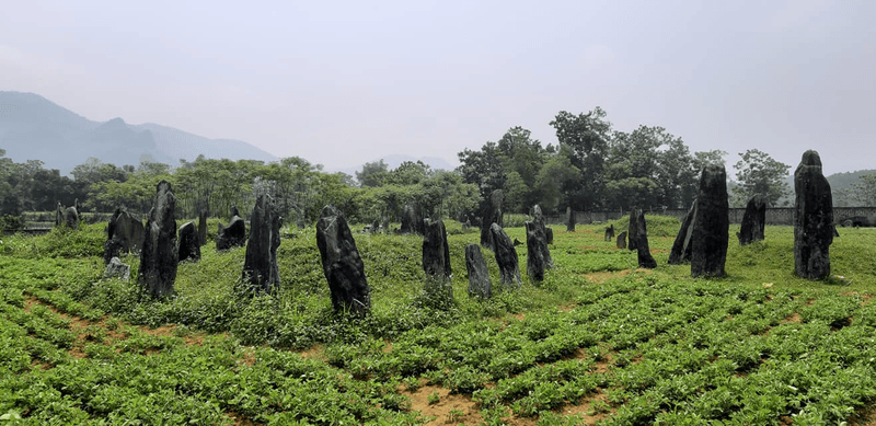 Khu mộ cổ Đống Thếch – Bí ẩn nghĩa địa cổ của người Mường ở Kim Bôi