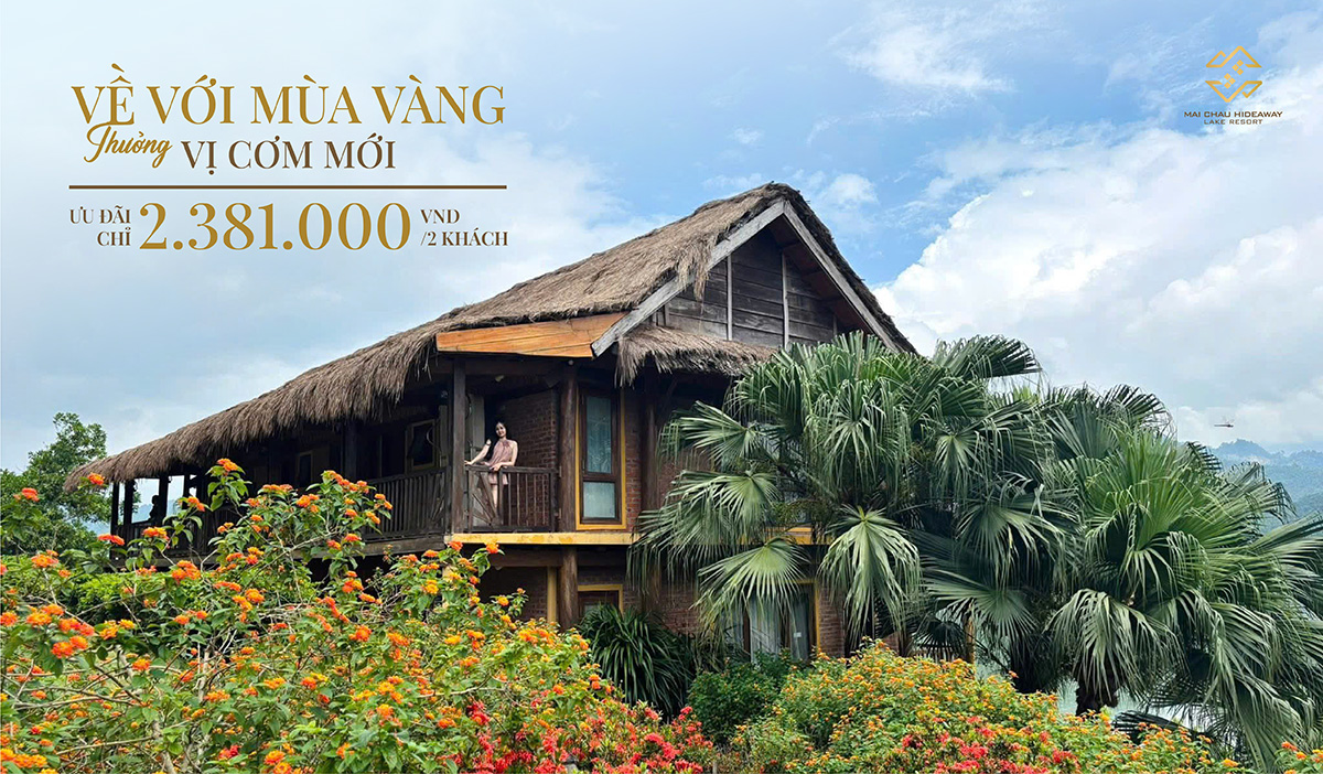 VỀ VỚI MÙA VÀNG, THƯỞNG VỊ CƠM MỚI ƯU ĐÃI CHỈ 2.381.000 VND/ 2 KHÁCH