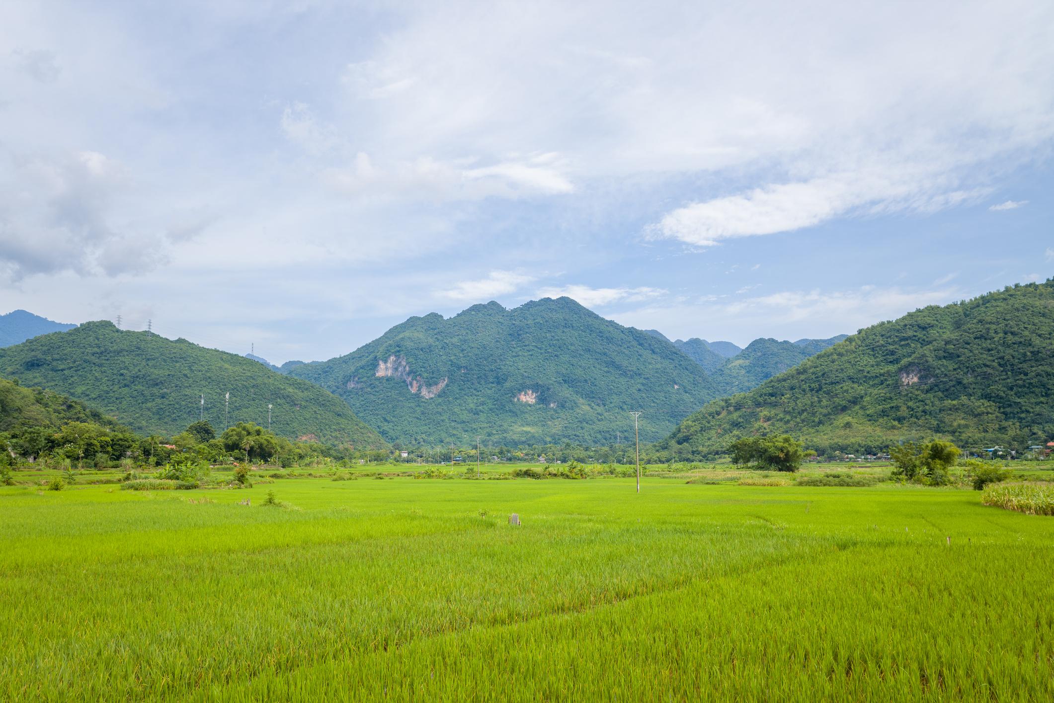Misty mountains and rice fields in Mai Chau Valley, Hoa Binh Province, Vietnam (Source: Collect) Misty mountains and rice fields in Mai Chau Valley, Hoa Binh Province, Vietnam