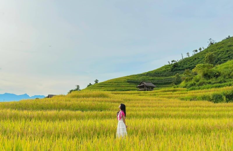 Mai Chau offers a gentler rice-field experience than higher mountain destinations such as Sapa or Mu Cang Chai (Source: Collected) Mai Chau offers a gentler rice-field experience than higher mountain destinations such as Sapa or Mu Cang Chai (Source: Collected)