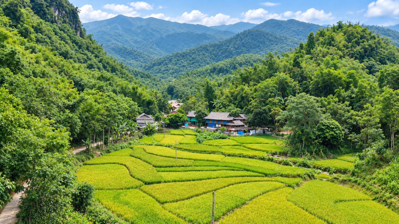 Rustic rice fields blending with the lush green mountains around Bang Village