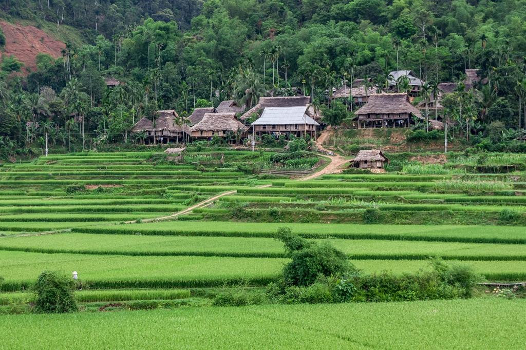 Traditional stilt houses in one of the Muong villages near Kho Muong, including Pon, Thanh Cong, Cao Hoong, and Kit (Source: moitruongxaydungvn.vn) Traditional stilt houses in one of the Muong villages near Kho Muong, including Pon, Thanh Cong, Cao Hoong, and Kit (Source: moitruongxaydungvn.vn)