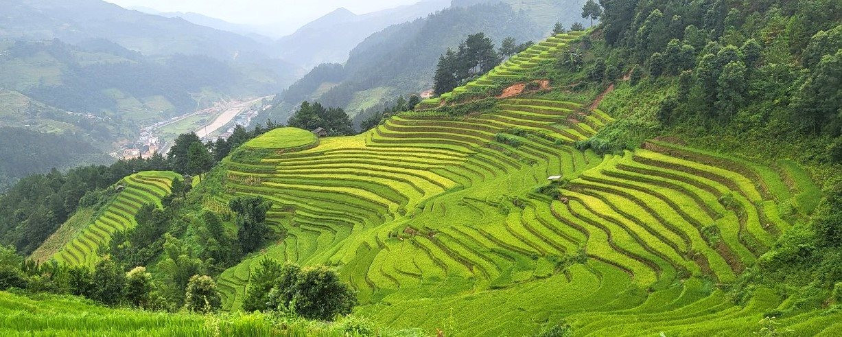 Morning mist rising over Mai Chau's rice terraces and stilt-house villages in December (Source: Bao Tuoi Tre)