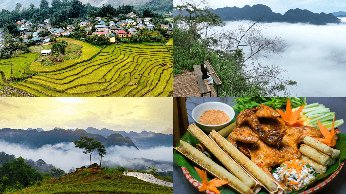Experience cloud hunting, rice terraces, and local flavours in Son Ba Muoi (Source: Collected) Experience cloud hunting, rice terraces, and local flavours in Son Ba Muoi (Source: Collected)