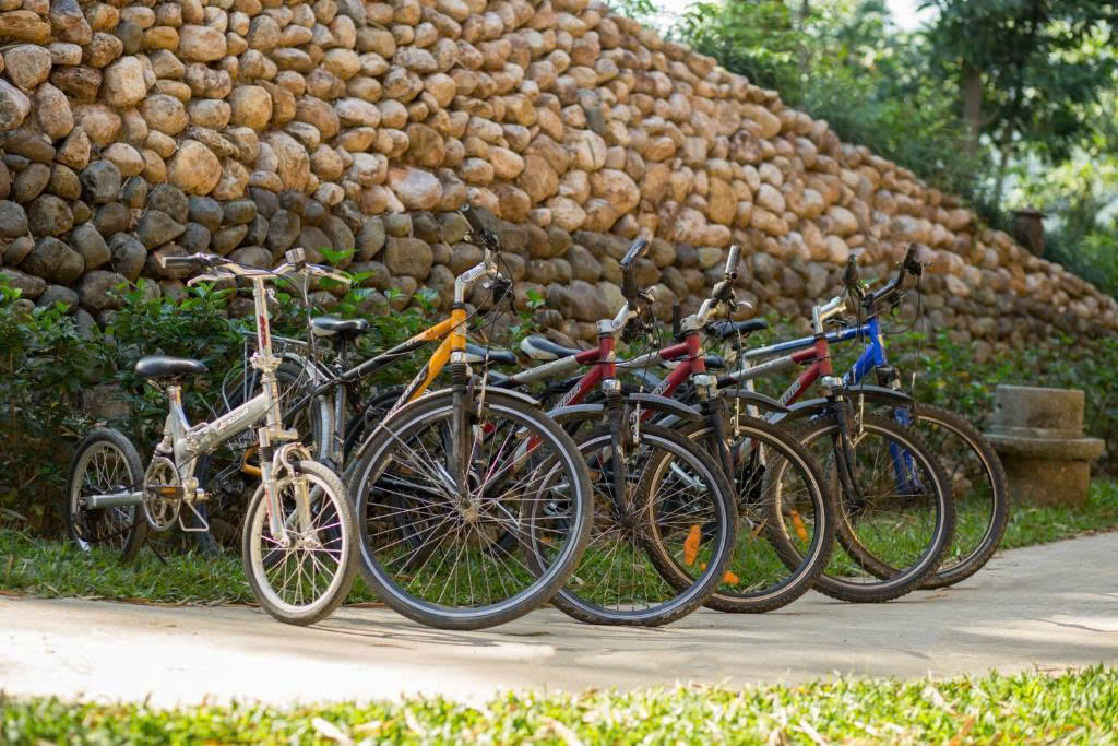 Bicycles available on-site for convenient local exploration Bicycles available on-site for convenient local exploration