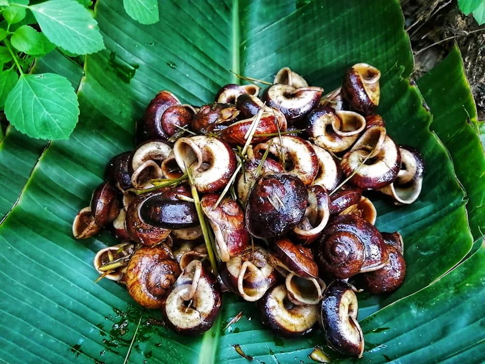 Stir-fried rock snails are also a popular local delicacy among visitors (Source: MIA.vn)