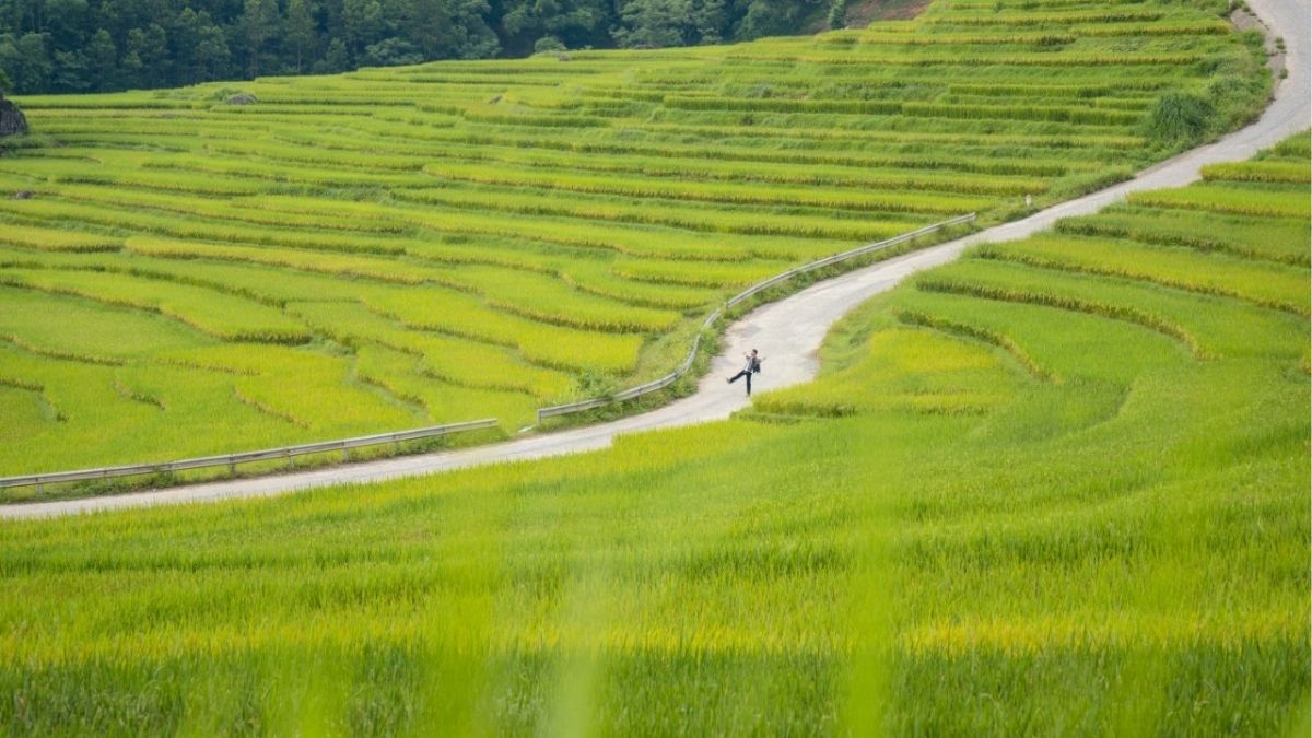Trekking through the natural landscapes of Pu Luong (Source: Bao Lao Dong) Trekking through the natural landscapes of Pu Luong (Source: Bao Lao Dong)