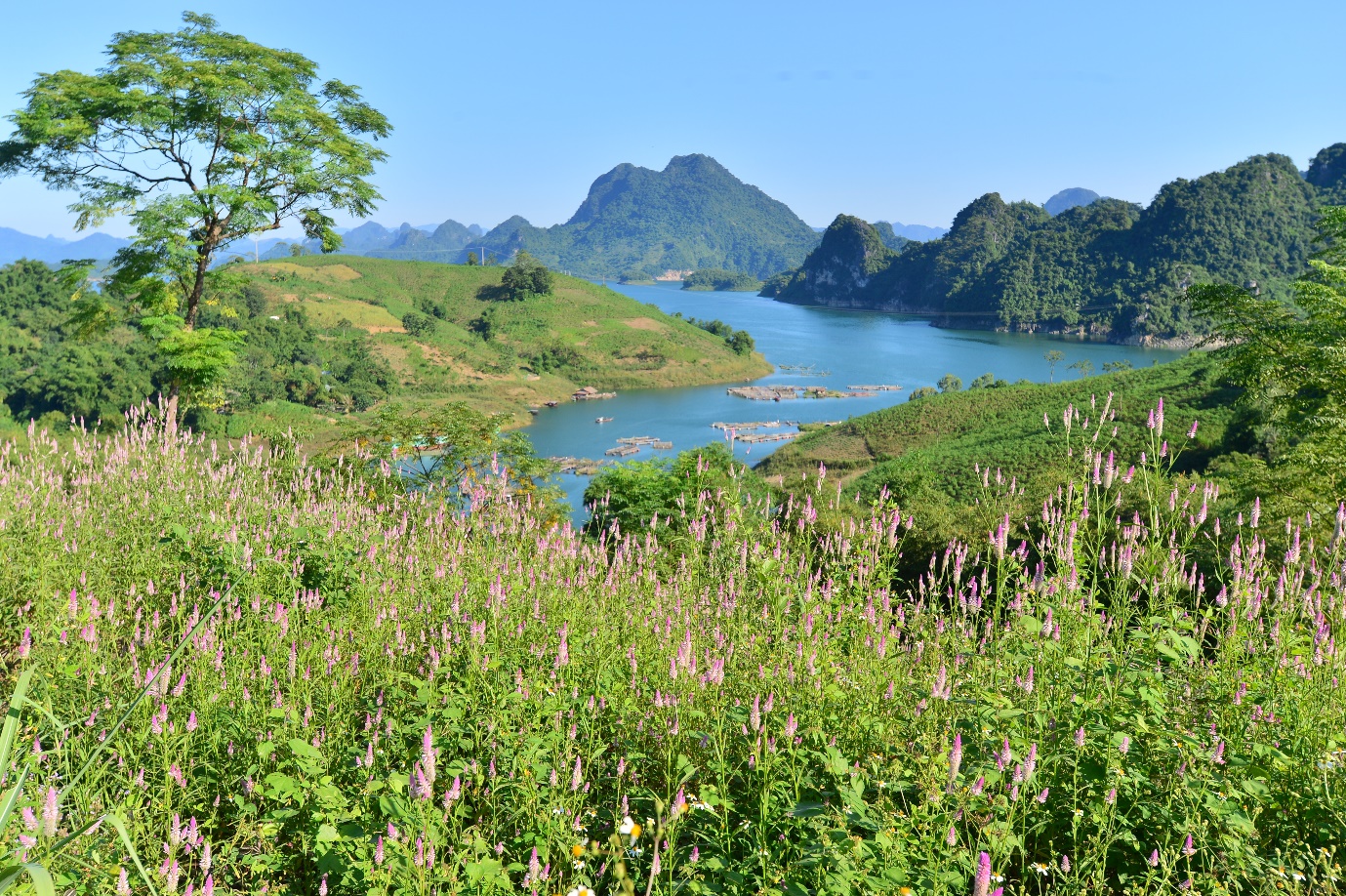 Du lịch Đà Bắc Hòa Bình mùa nào đẹp nhất?