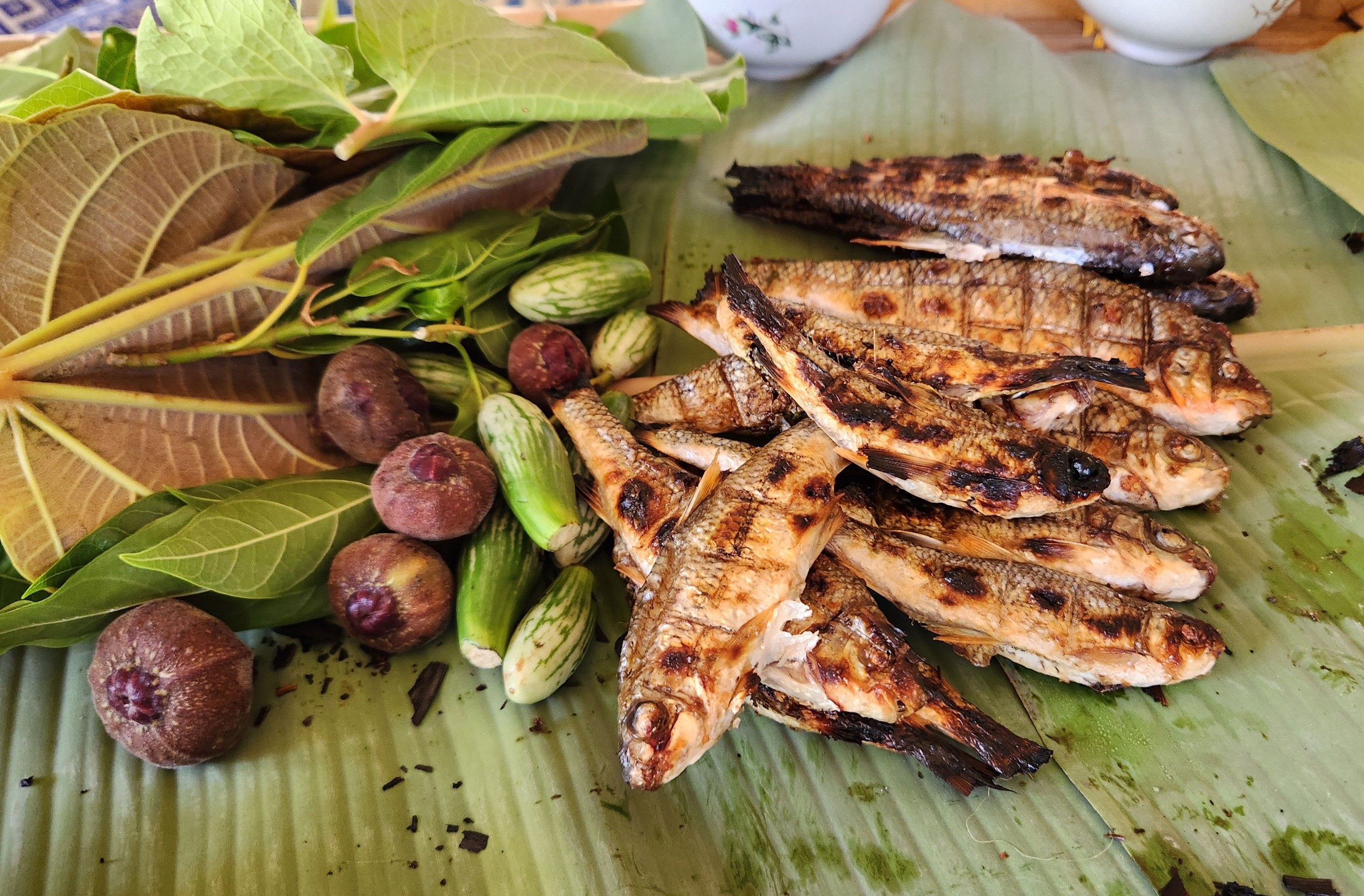 Cá suối nướng than hồng thơm lừng với lớp da săn vàng và phần thịt ngọt mềm tự nhiên (Nguồn: Báo Tuổi Trẻ) Cá suối nướng than hồng thơm lừng với lớp da săn vàng và phần thịt ngọt mềm tự nhiên (Nguồn: Báo Tuổi Trẻ)