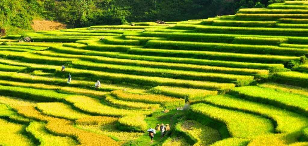 Đi bộ qua bản làng và ruộng bậc thang Đi bộ qua bản làng và ruộng bậc thang
