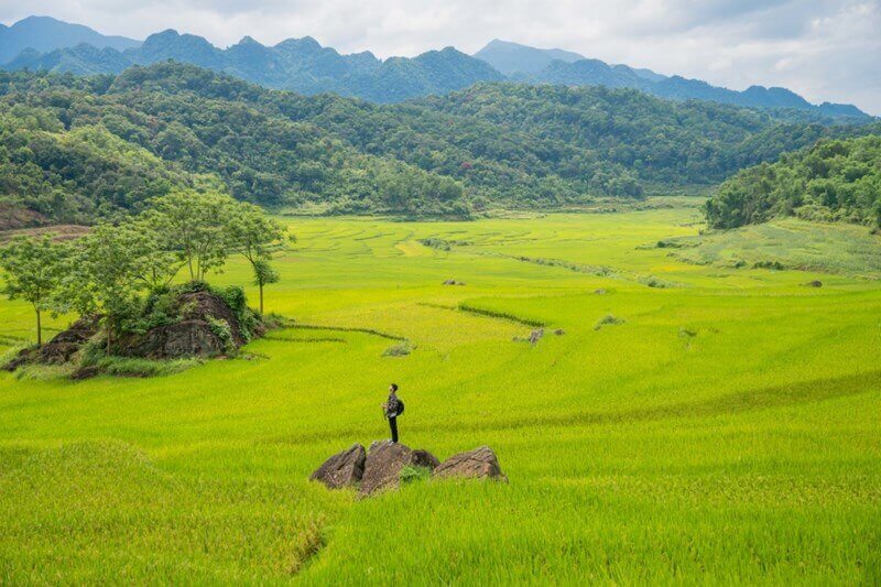 Thời điểm đẹp nhất để đến Bản Bút Thanh Hoá Thời điểm đẹp nhất để đến Bản Bút Thanh Hoá