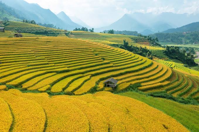 Thời điểm đẹp nhất để khám phá bản Mường Giang Mỗ 
