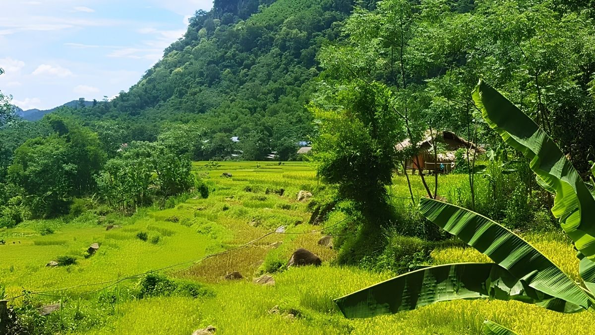 Bản Hang - góc nhỏ thanh bình giữa thung lũng Pù Luông (Nguồn: Báo Thanh Hoá) Bản Hang - góc nhỏ thanh bình giữa thung lũng Pù Luông (Nguồn: Báo Thanh Hoá)
