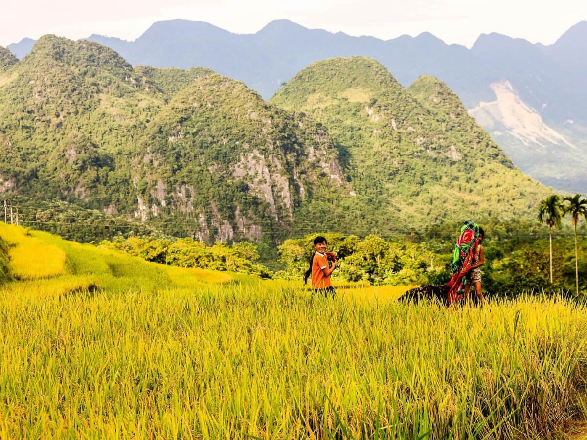 Vẻ đẹp nguyên sơ, bình yên khiến ai ghé Bản Kén cũng muốn chậm lại một nhịp (Nguồn: Sưu tầm) Vẻ đẹp nguyên sơ, bình yên khiến ai ghé Bản Kén cũng muốn chậm lại một nhịp (Nguồn: Sưu tầm)
