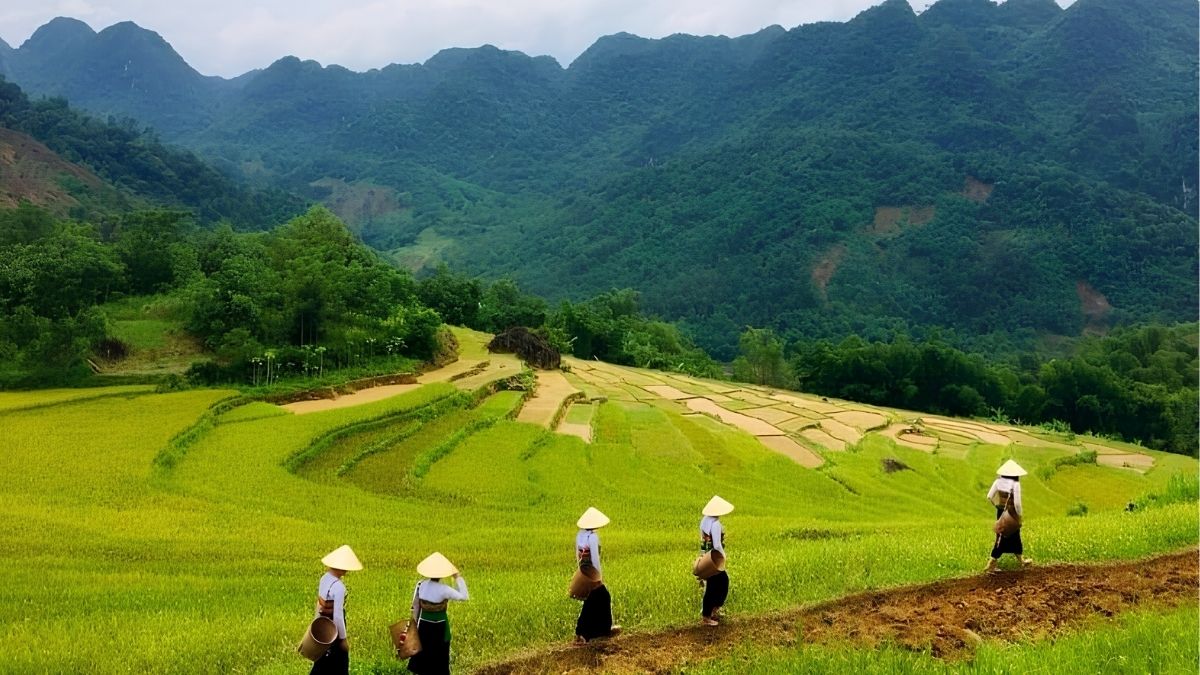 Nhịp sống lao động bình dị của người dân bản địa giữa không gian bao la của núi rừng (Nguồn: VnEconomy) Nhịp sống lao động bình dị của người dân bản địa giữa không gian bao la của núi rừng (Nguồn: VnEconomy)