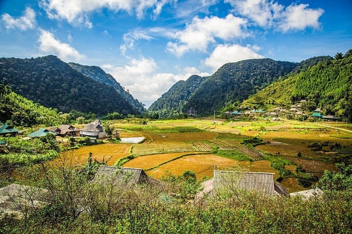 Son Bá Mười Son Bá Mười