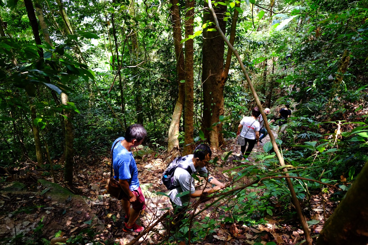 Trekking là một trong những trải nghiệm không thể bỏ qua khi đến Mai Châu Trekking là một trong những trải nghiệm không thể bỏ qua khi đến Mai Châu