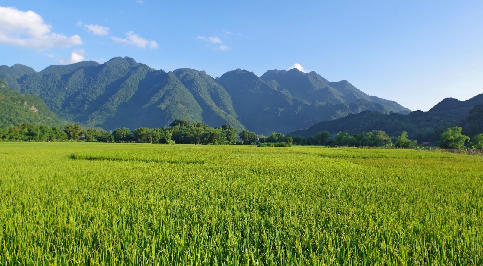 Mai Châu ở đâu? Mai Châu ở đâu?