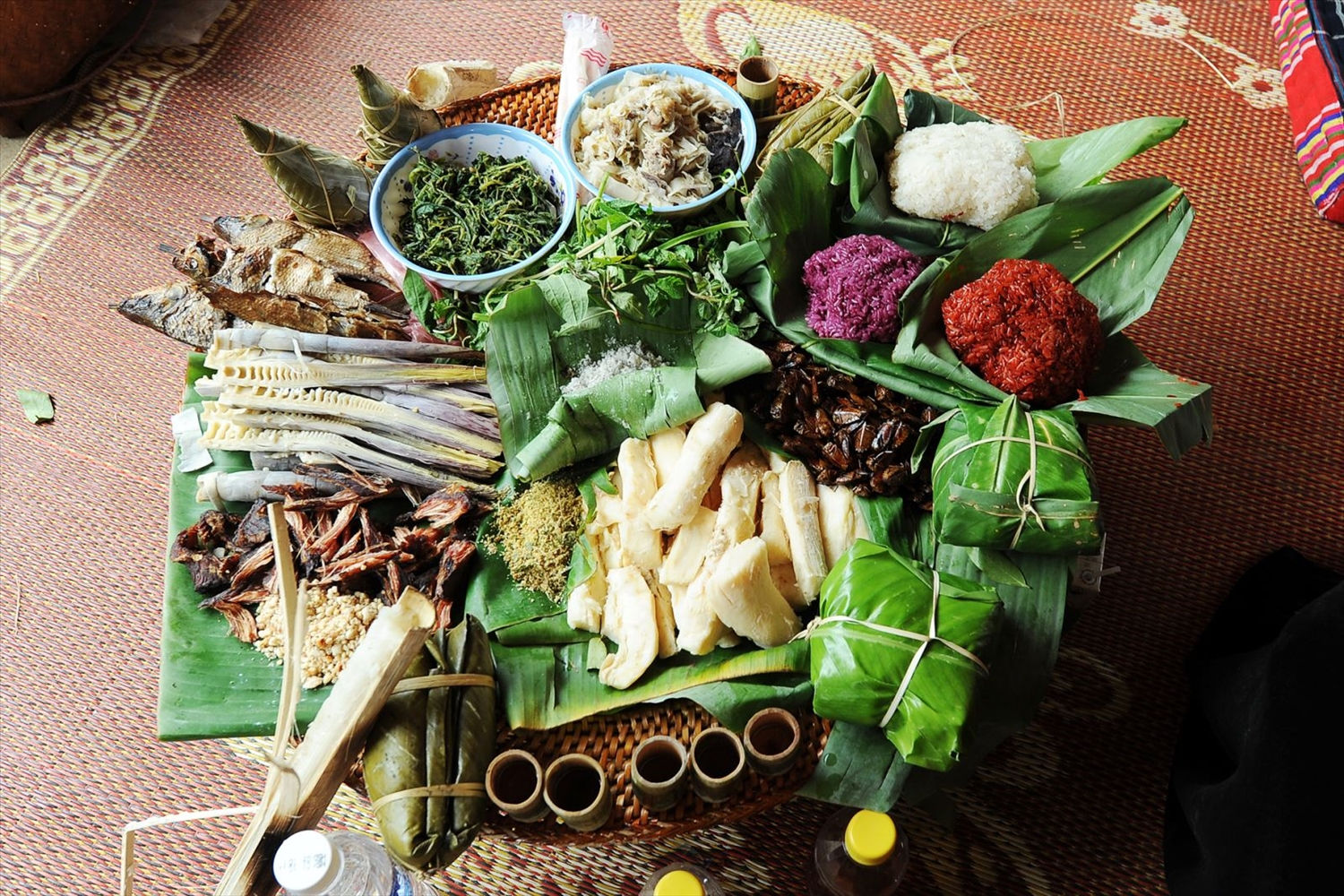 Mâm cơm Tết Pù Luông phong phú với cơm lam, cá suối và các loại rau rừng (Nguồn: Dân Tộc & Phát Triển) Mâm cơm Tết Pù Luông phong phú với cơm lam, cá suối và các loại rau rừng (Nguồn: Dân Tộc & Phát Triển)