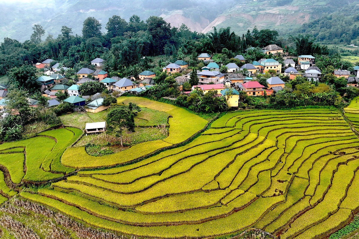 Ngắm ruộng bậc thang từ những cung đường cao Ngắm ruộng bậc thang từ những cung đường cao
