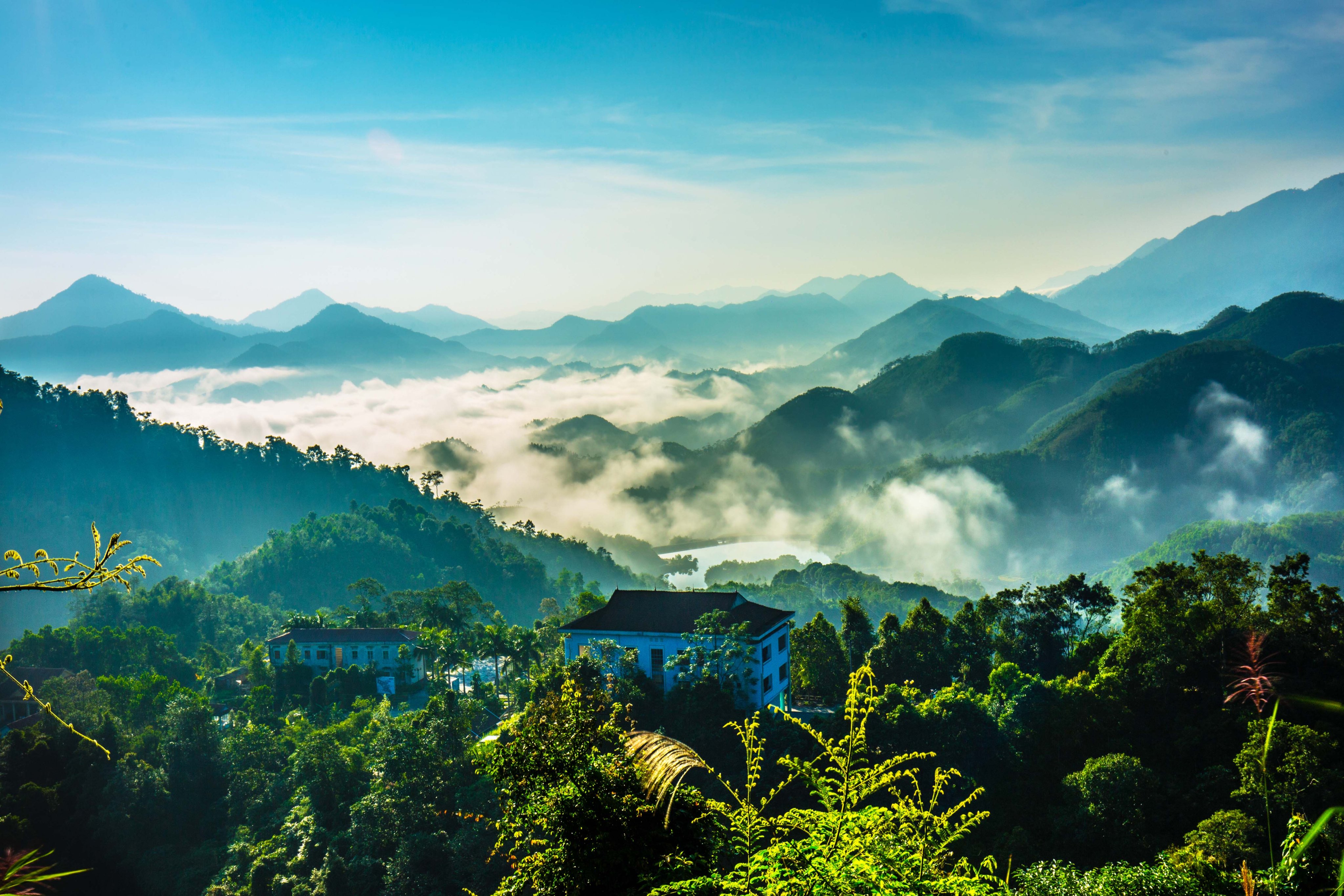 Rừng nguyên sinh Xuân Sơn 