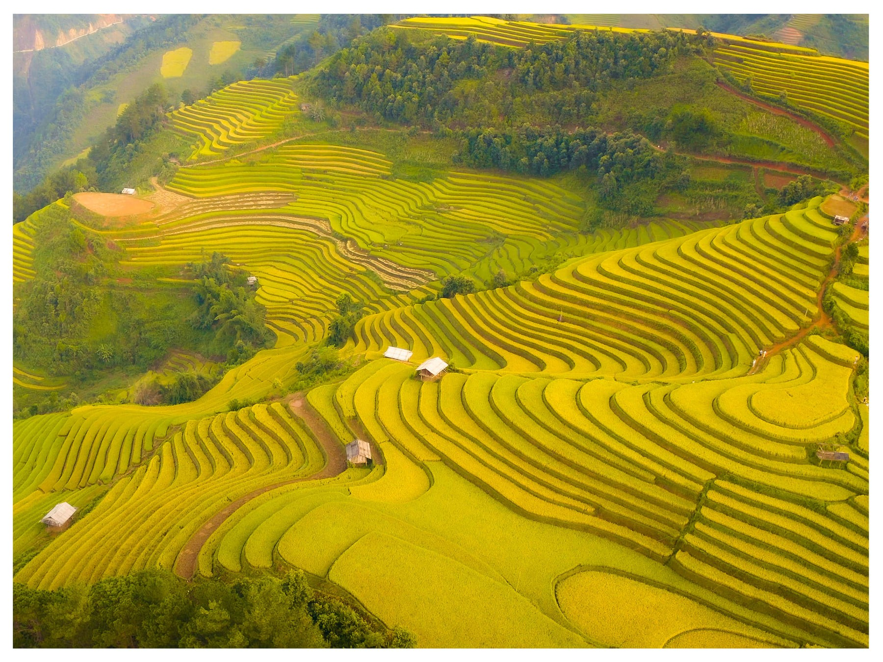 Thời điểm này cũng là mùa gặt, bạn sẽ bắt gặp hình ảnh bà con tất bật thu hoạch lúa, rộn ràng giữa sắc vàng rực rỡ (nguồn: Báo Thái Nguyên) Thời điểm này cũng là mùa gặt, bạn sẽ bắt gặp hình ảnh bà con tất bật thu hoạch lúa, rộn ràng giữa sắc vàng rực rỡ (nguồn: Báo Thái Nguyên)
