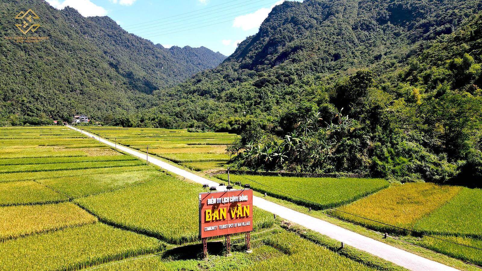 Du lịch Mai Châu để “săn ảnh” lúa vào các thời điểm trong năm Du lịch Mai Châu để “săn ảnh” lúa vào các thời điểm trong năm