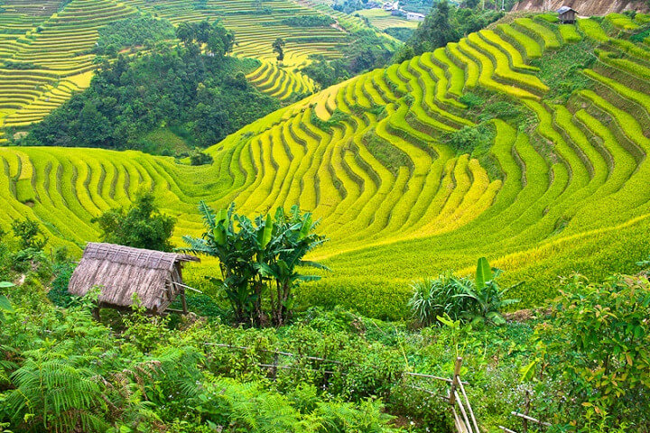 Lên kế hoạch cho chuyến du lịch Mai Châu Lên kế hoạch cho chuyến du lịch Mai Châu