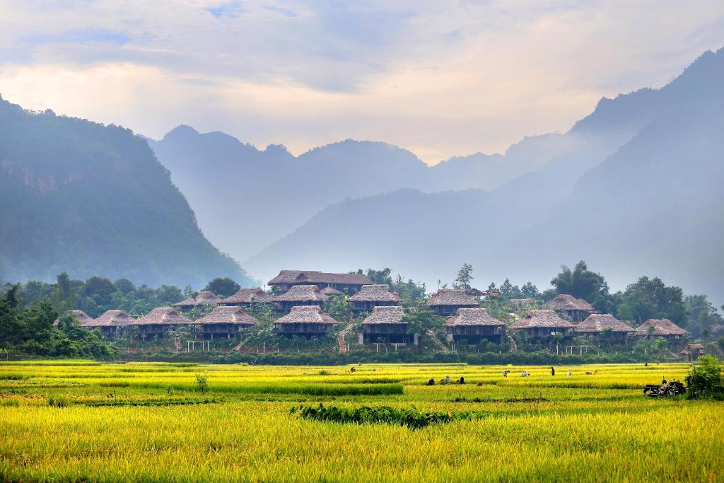 Experience Mai Chau for 2 days and 1 night (Source: Collected)