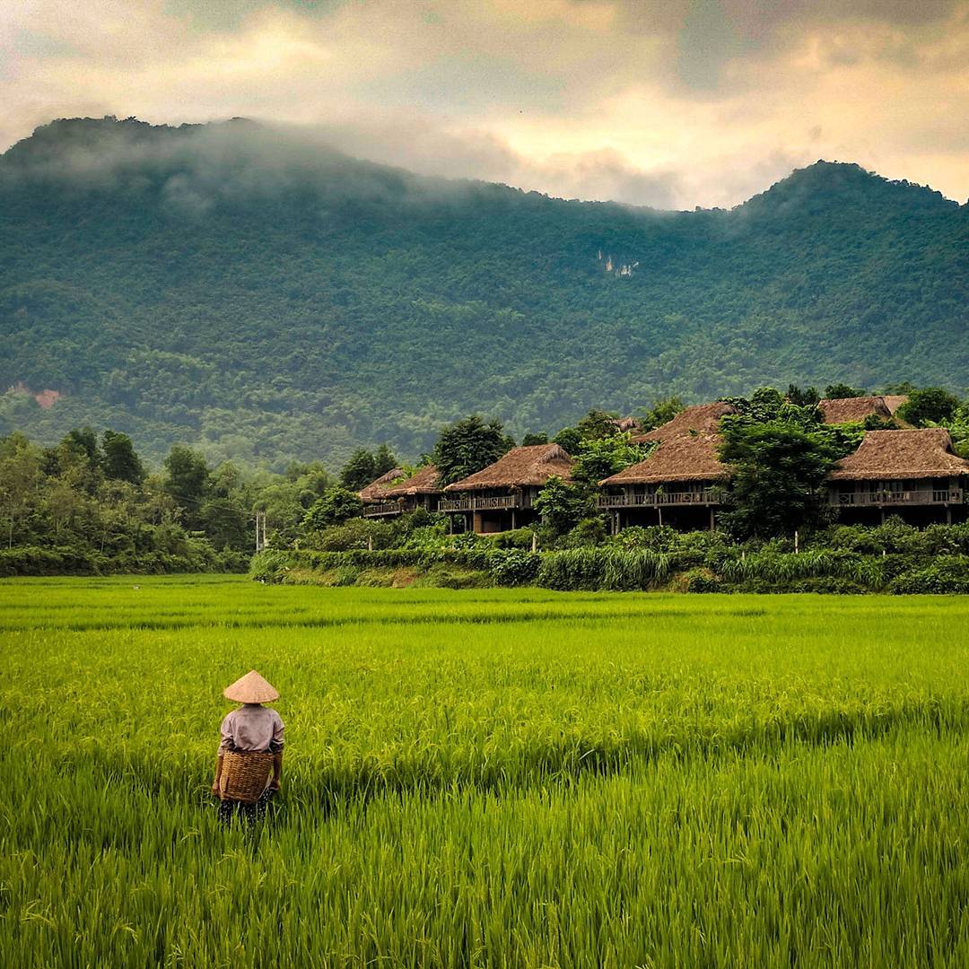 What to see and do in Mai Chau (Source: Collected)
