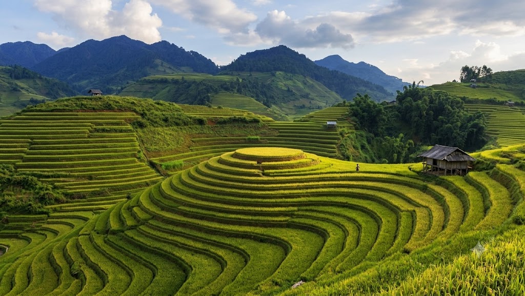 Mai Chau Pu Luong (Source: Collected) Mai Chau Pu Luong (Source: Collected)