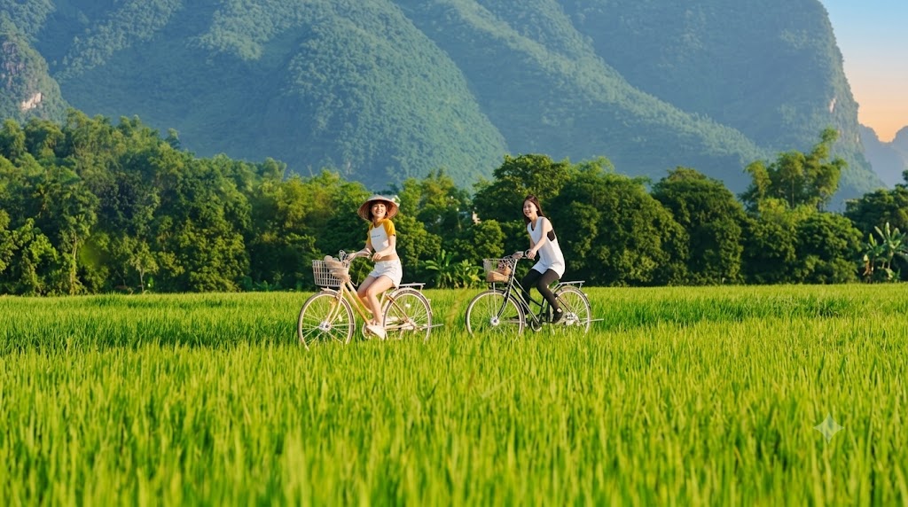 Cycling on the field