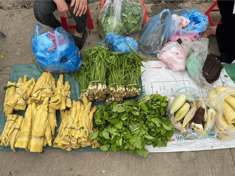 Người dân thường hái trực tiếp từ rừng hoặc từ nương rẫy quanh bản rồi mang xuống chợ bán vào sáng sớm, vì vậy rau luôn rất tươi và mang hương vị đặc trưng của núi rừng (Nguồn: FB Hotnews Hòa Bình)