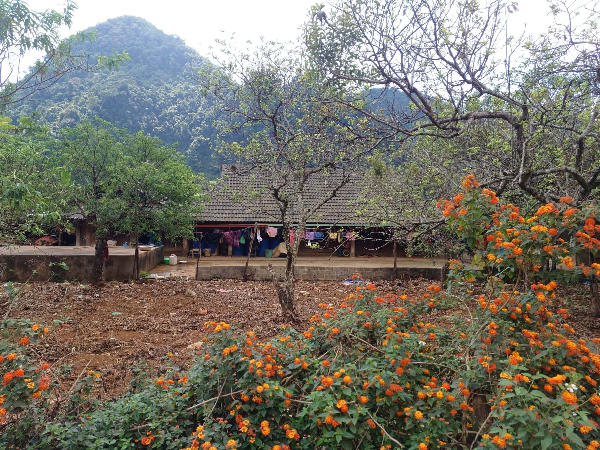 Bản Thung Mài nằm ở độ cao hơn so với các bản làng khác tại Mai Châu Bản Thung Mài nằm ở độ cao hơn so với các bản làng khác tại Mai Châu