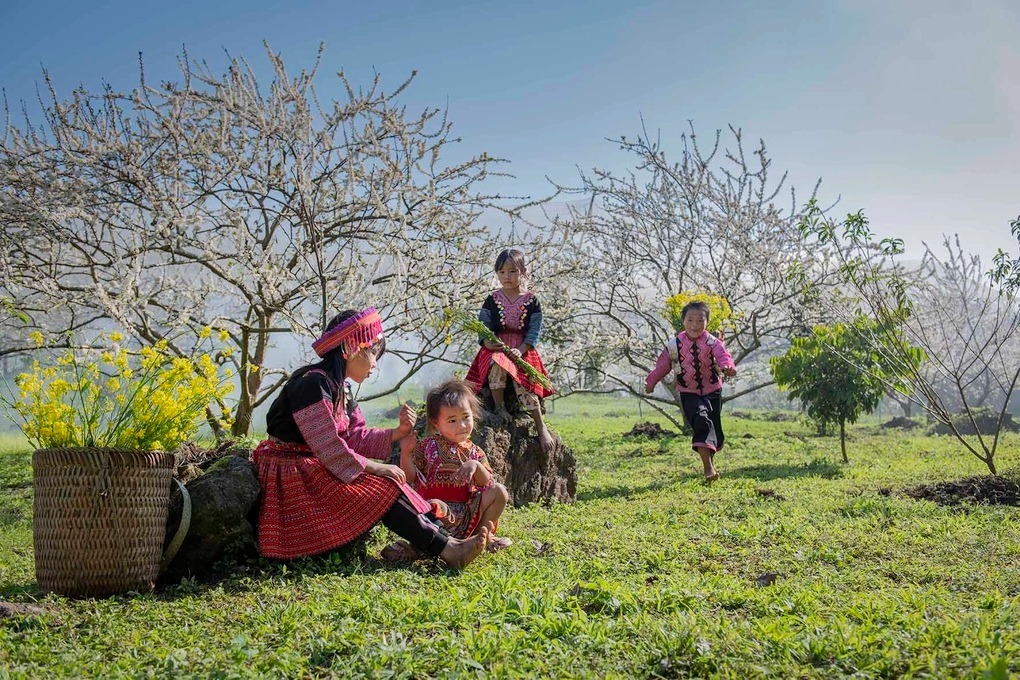 Thời tiết Mai Châu tháng 1 như thế nào? Thời tiết Mai Châu tháng 1 như thế nào?