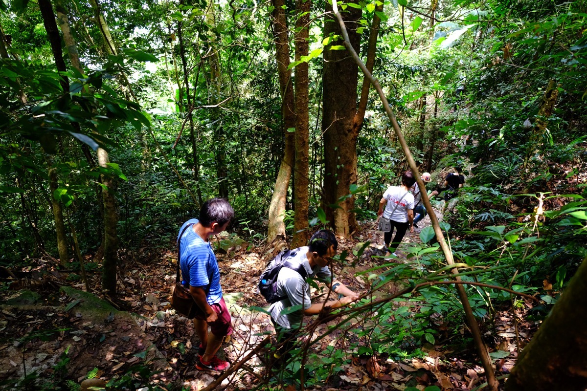 Trekking khám phá thiên nhiên Mai Châu Trekking khám phá thiên nhiên Mai Châu