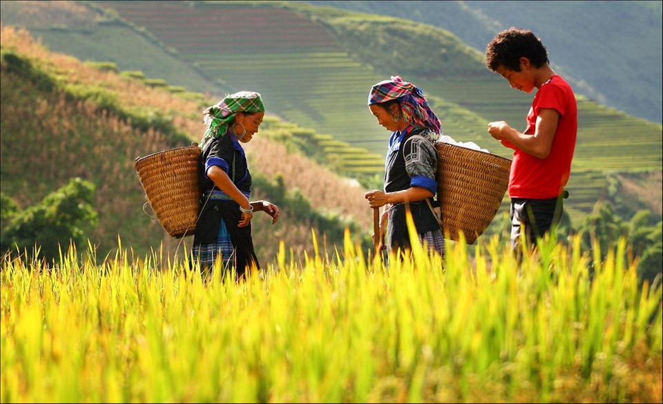 Mai Châu tháng 9 có gì? Mai Châu tháng 9 có gì?