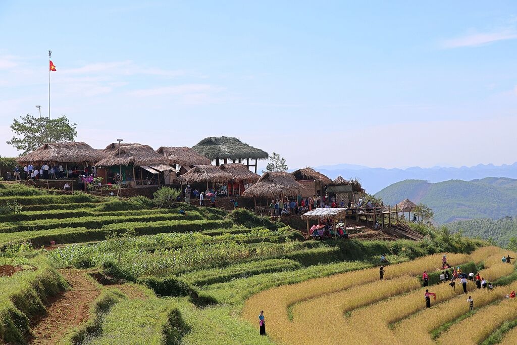 Giới thiệu chung về lễ hội ruộng bậc thang Miền Đồi - Lạc Sơn Giới thiệu chung về lễ hội ruộng bậc thang Miền Đồi - Lạc Sơn