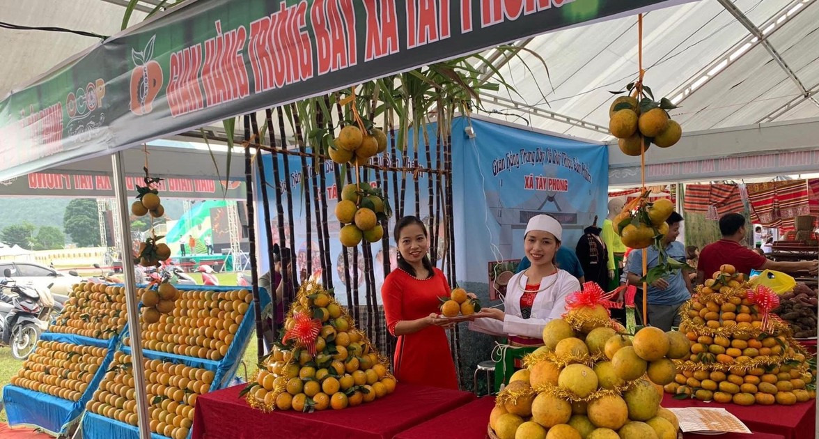 Lễ hội Cam Cao Phong có hơn 100 gian hàng của các xã và thị trấn trong huyện (Nguồn: Khu du lịch Quốc gia Hồ Hòa Bình) Lễ hội Cam Cao Phong có hơn 100 gian hàng của các xã và thị trấn trong huyện (Nguồn: Khu du lịch Quốc gia Hồ Hòa Bình)