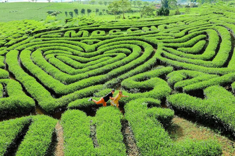 Tour du lịch Tây Bắc 4 ngày 3 đêm - Khám phá Mộc Châu (Nguồn: MIA.vn) Tour du lịch Tây Bắc 4 ngày 3 đêm - Khám phá Mộc Châu (Nguồn: MIA.vn)