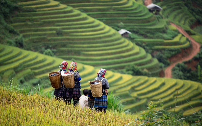 Tôn trọng phong tục và văn hóa địa phương (Nguồn: Bách hóa XANH) Tôn trọng phong tục và văn hóa địa phương (Nguồn: Bách hóa XANH)