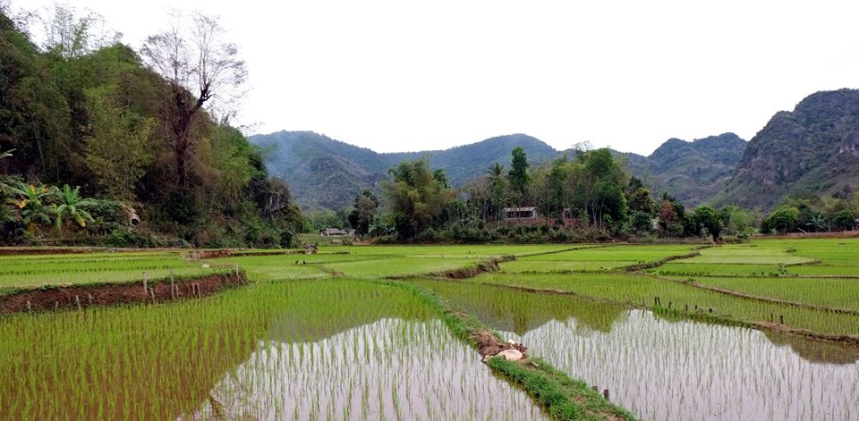 Mai Hịch, nổi bật với thiên nhiên hoang sơ và văn hóa dân tộc đặc sắc, đang có tiềm năng rất lớn để phát triển du lịch sinh thái (nguồn: Hanoi Sun Travel)
