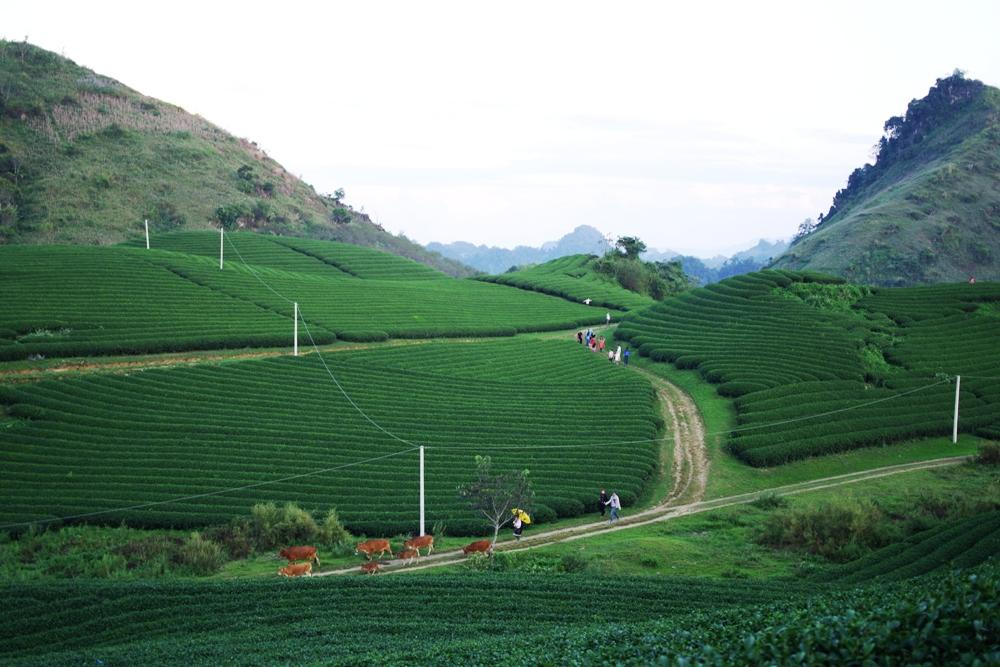Du lịch Tây Bắc tháng 11 là lựa chọn lý tưởng cho những ai yêu thiên nhiên, thích khám phá và tìm kiếm trải nghiệm mới lạ (nguồn: Thuê xe Vân An)