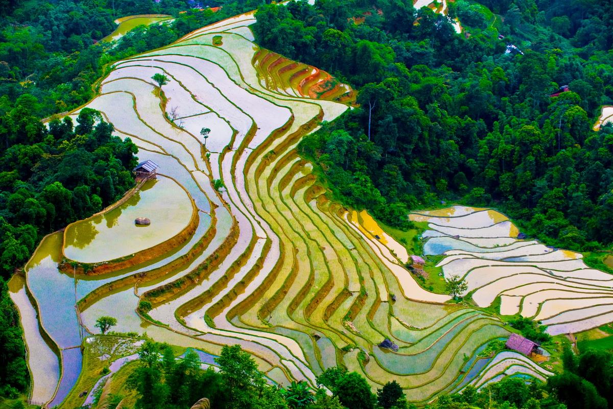 Những thửa ruộng bậc thang lóng lánh dưới ánh mặt trời ở Mù Cang Chải (nguồn: Vntrip)