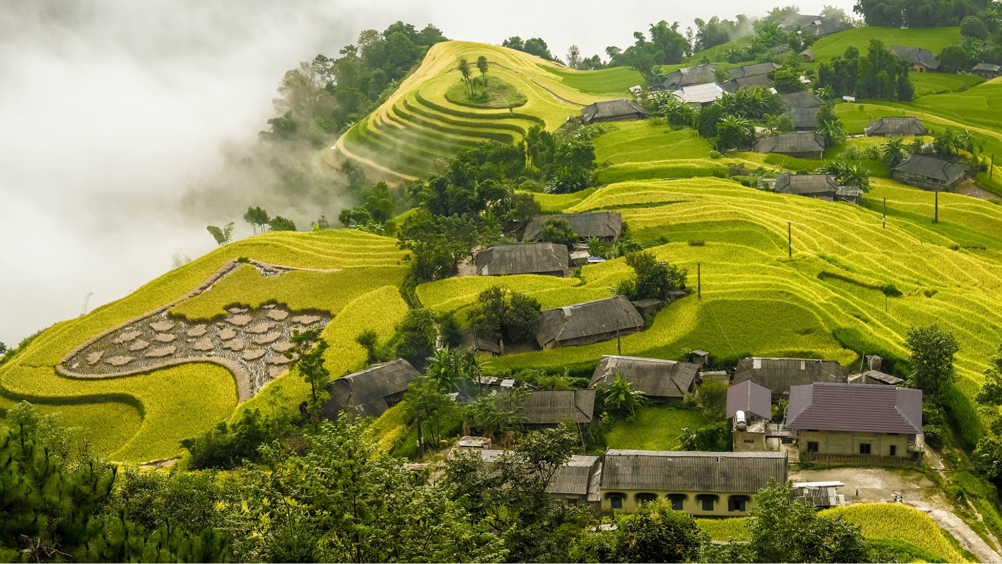 Hoàng Su Phì thơ mộng vào tháng 10 (nguồn: Crystal Bay) Hoàng Su Phì thơ mộng vào tháng 10 (nguồn: Crystal Bay)