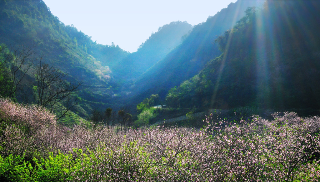 Phong cảnh mùa xuân ở Mai Châu (nguồn: Vietluxtour)