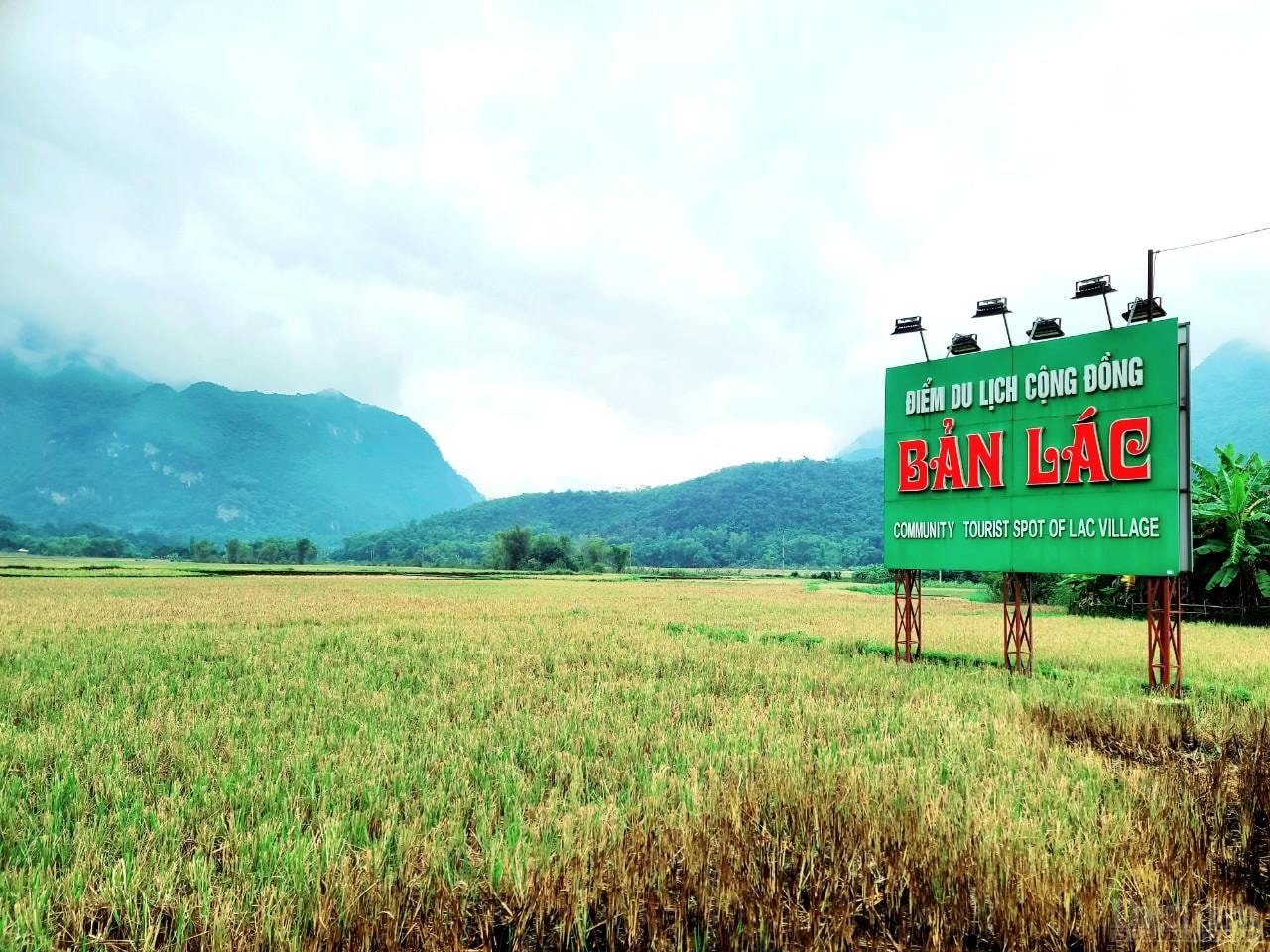 Bản Lác (nguồn: diễn đàn doanh nghiệp)